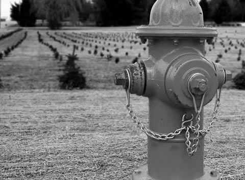 免费ddos在线攻击测试网站